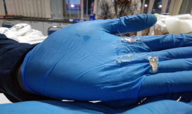 Lagi, Petugas Gabungan Gagalkan Penyelundupan 22.230 Benih Lobster ke Singapura