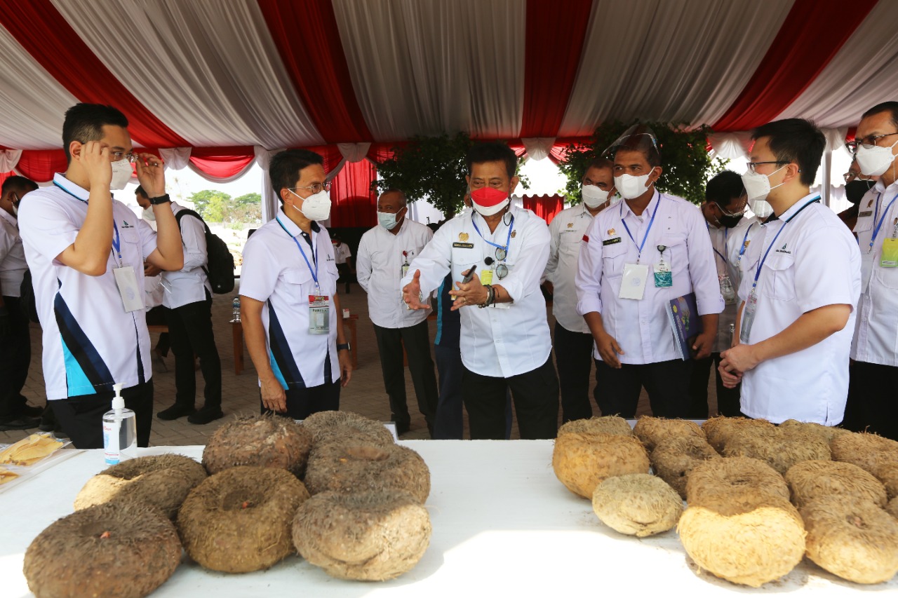 Petani: Meski Dinamika Harga, Porang Saat Ini Menguntungkan