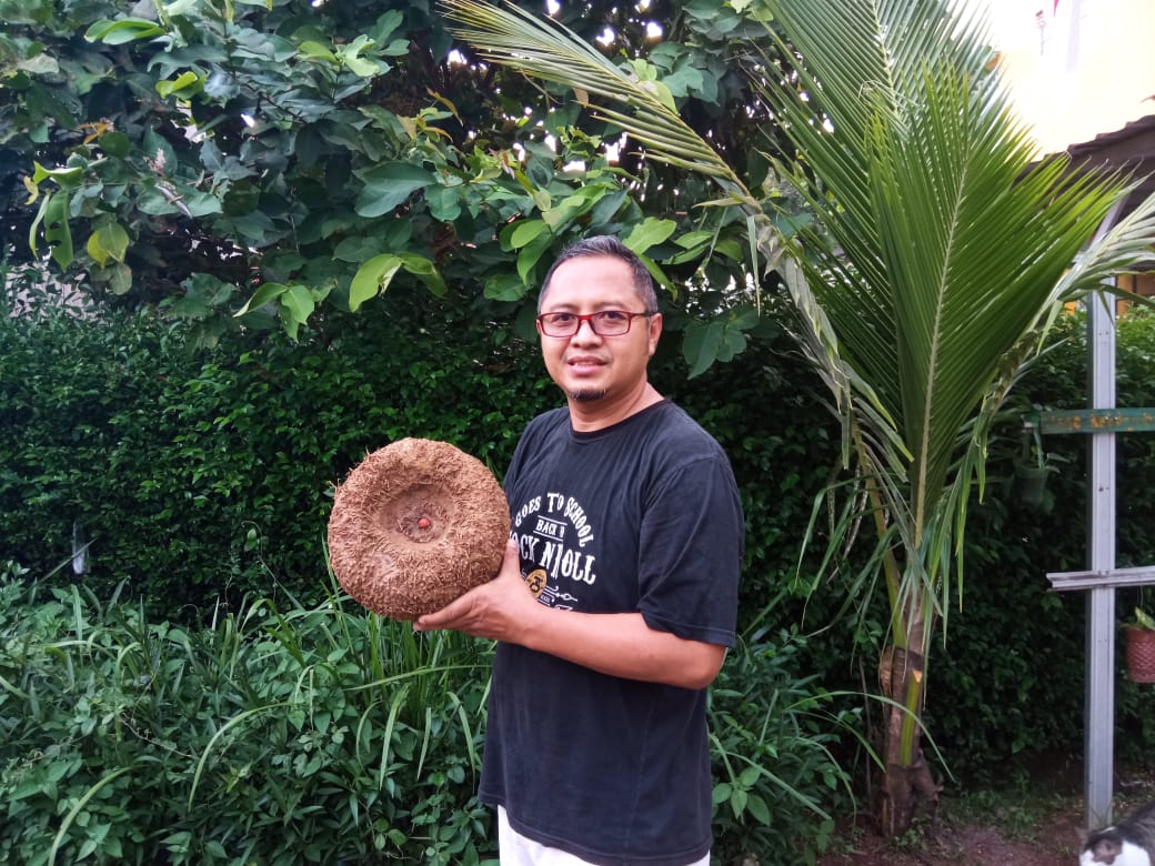 Asep Sudrajat, Petani Porang asal Kab Bogor ini Siap Ekspansi Pengembangan Porang