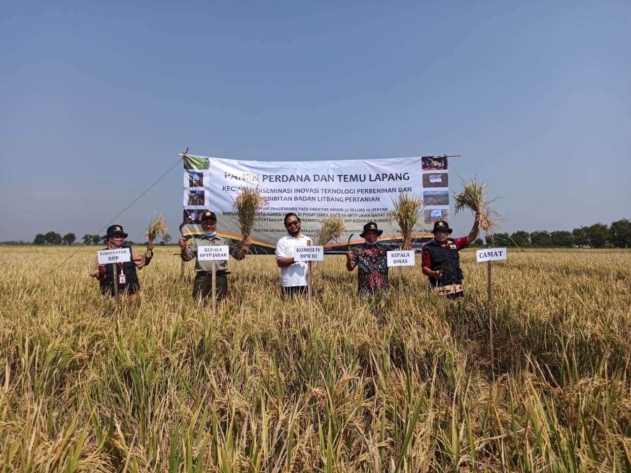 Produktivitas Mencapai 11 Ton, Ini Dia Rahasia Petani Indramayu