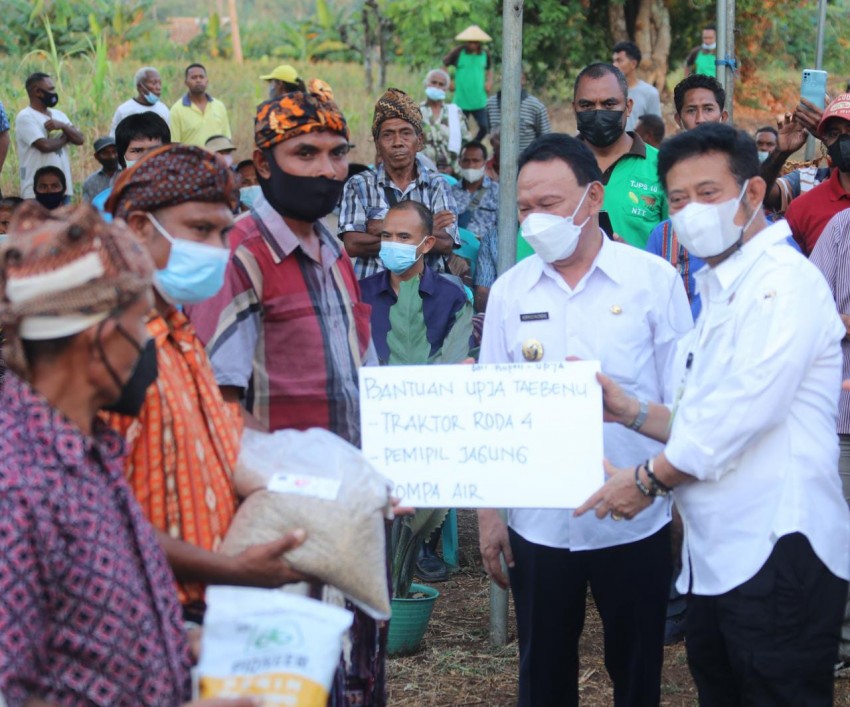 Kunjungi Kupang NTT, Mentan SYL Panen Raya Jagung