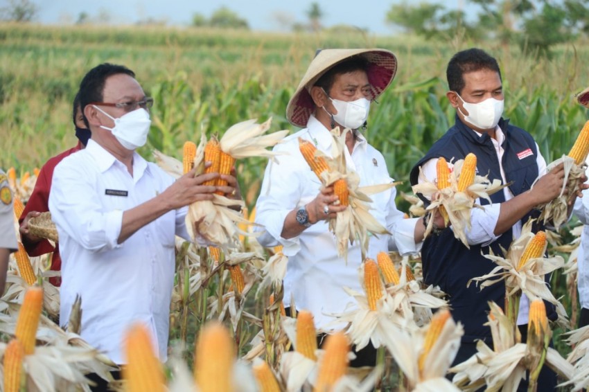 Alsintan Percepat Program Food Estate di Wonosobo dan Temanggung