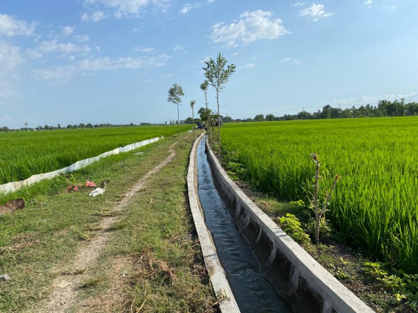 Kelompok Tani di Solok Selatan Rasakan Manfaat Program RJIT Kementan