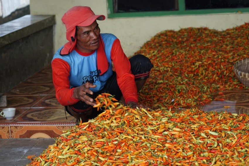 Kementan Dorong Efektivitas dan Efisiensi Pemasaran Melalui Pasar Lelang