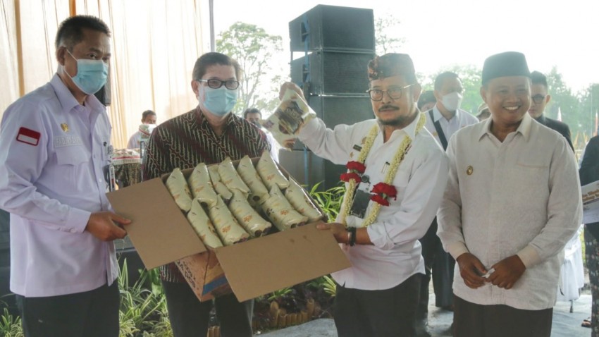 Dorong Kentang Industri, Kementan Luncurkan Tiga Varietas Baru