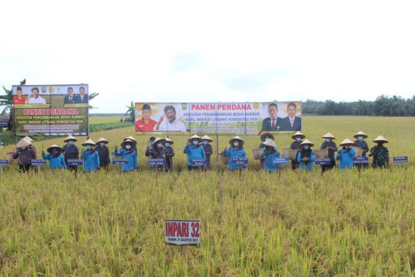 Bupati Siak Panen Perdana Perbenihan Padi BPTP Balitbangtan Riau