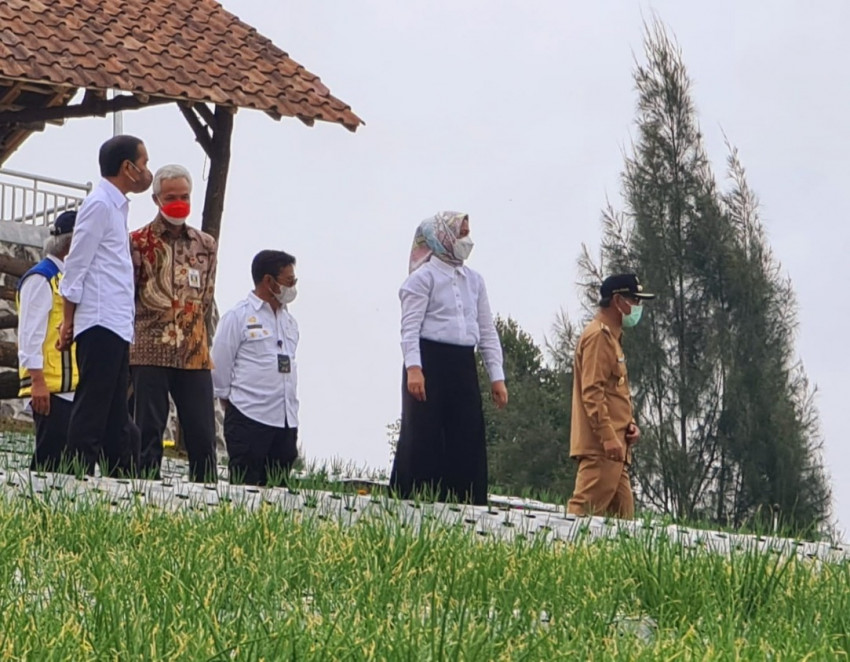 Melihat Sentuhan Teknologi Kementan di Food Estate Temanggung