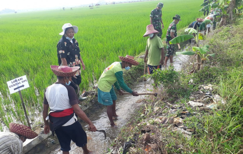 Kementan Amankan Produksi Tanaman Pangan Saat La Nina