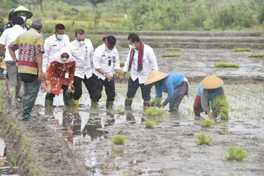 NTP Januari Naik, DPR Apresiasi Kinerja Kementan Dalam Meningkatkan Produksi dan Kesejahteraan Petani