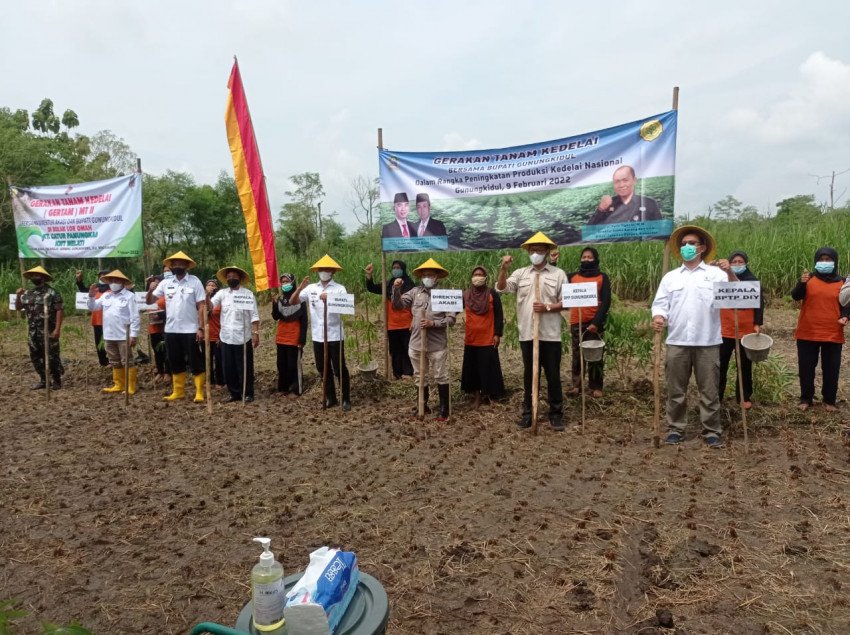 Dorong Produksi Kedelai, Kementan Lakukan Gerakan Tanam Perdana di Gunung Kidul