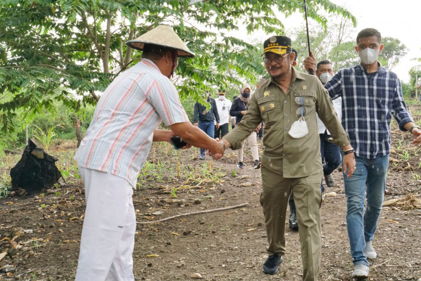 Mentan SYL Kejar Tanam Jagung di Jeneponto