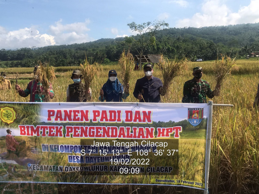 Cilacap Optimalkan Lahan Untuk Sukseskan Program Kementan IP400