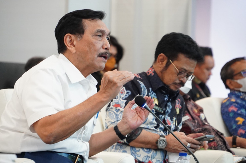 Menko Luhut Minta PUPR Segera Bangun Irigasi dan Infrastruktur Lainnya di Daerah Food Estate