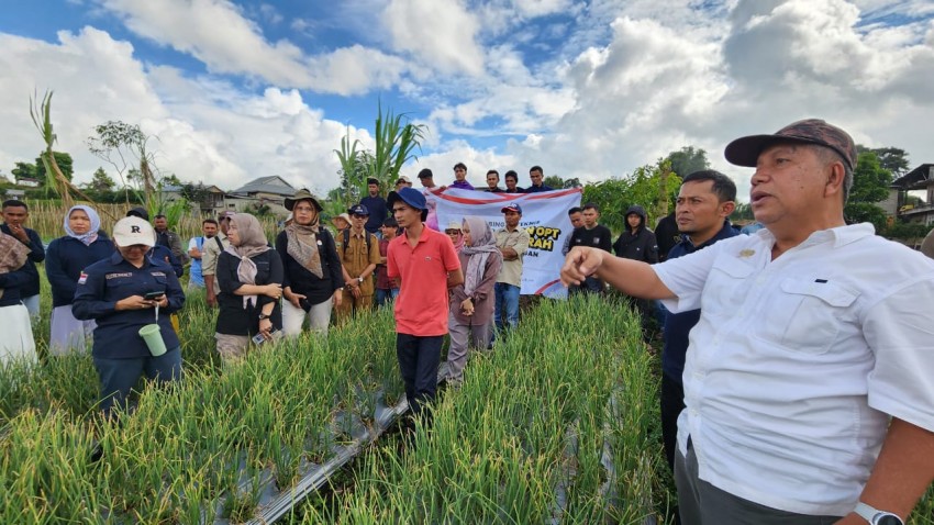 Gencarkan Kampung Perlindungan Hortikultura, Kementan Garap 15.000 Ha Lahan Bawang Merah di Solok Sumatera Barat