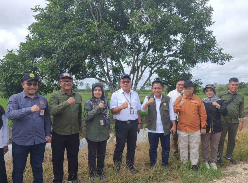 Kementan Gandeng  Barito Kuala Sukseskan UPSUS Antisipasi Darurat Pangan