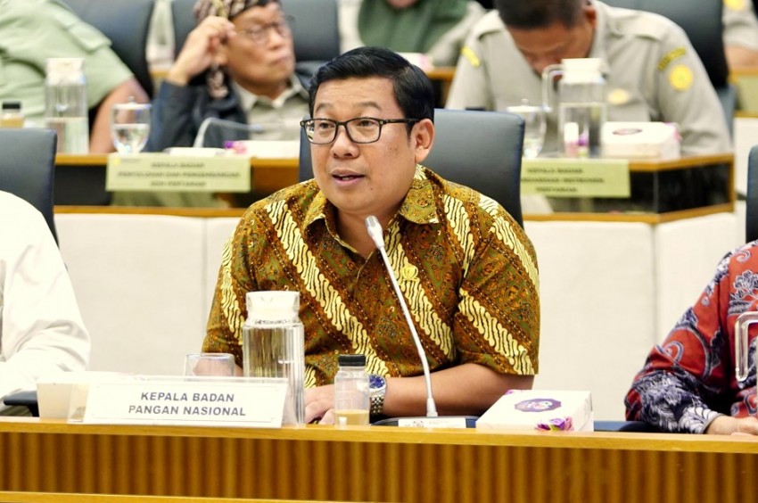 Soal Demurrage Beras Bulog, Ini Penjelasan Kepala NFA Arief Prasetyo Adi