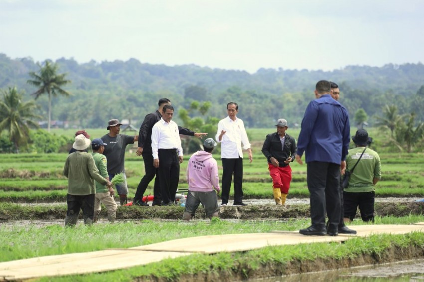 Presiden Kunker di Bone, Petani Sebut Jokowi dan Mentan Amran Berkah Bagi Kemajuan Pertanian Indonesia