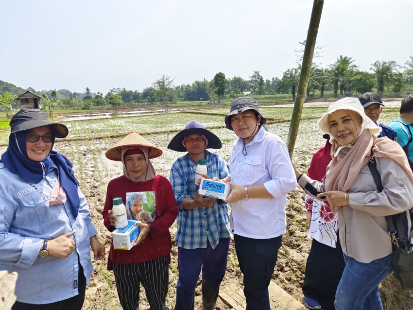 Gencarkan Program Pompanisasi, Kementan Targetkan 1000 Hektar Penambahan Areal Tanam di Bengkulu Selatan