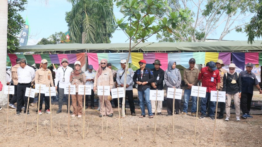 Tanam Padi Gogo, Kementan Percepat Program PAT Kabupaten Barito Kuala