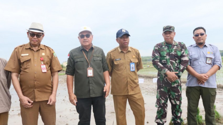 Kementan Pacu Indeks Pertanaman di Kabupaten Tapin