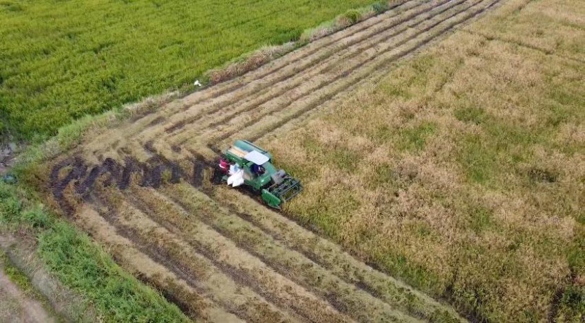 Ketua Marga Merauke Ajak Masyarakat Dukung Program Cetak Sawah