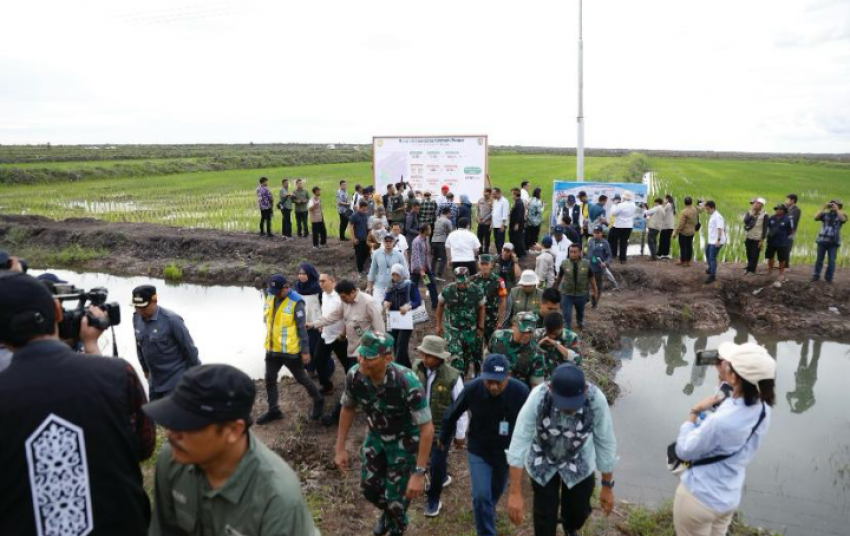 Percepat Akselerasi Swasembada Pangan, DPR Dukung Penuh Program Cetak Sawah di Kabupaten Kapuas