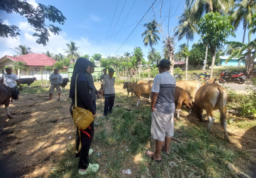 Kementan Sigap Merespon Kasus Penyakit Mulut dan Kuku di Gorontalo